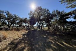 8341 Crooked Creek Lane photo 4