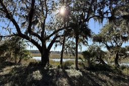 8341 Crooked Creek Lane photo 4