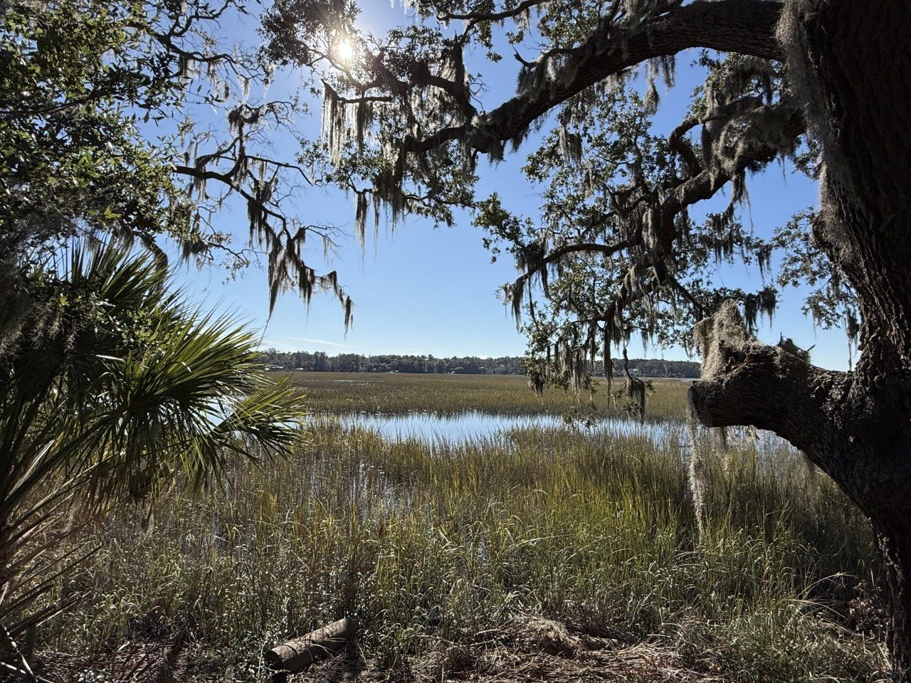 8341 Crooked Creek Lane Photo 5