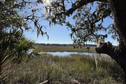 8341 Crooked Creek Lane photo 4