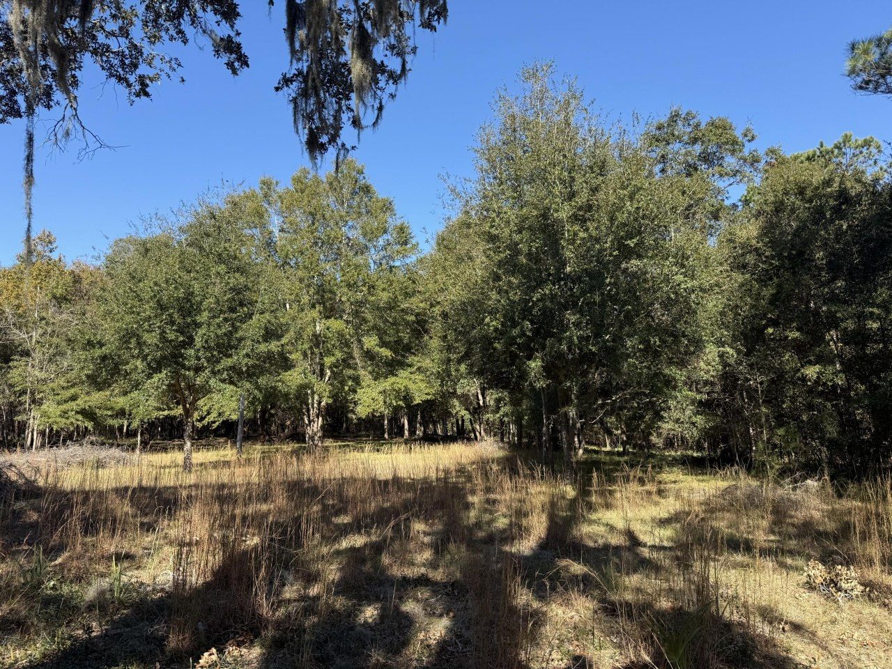 8341 Crooked Creek Lane Photo 6