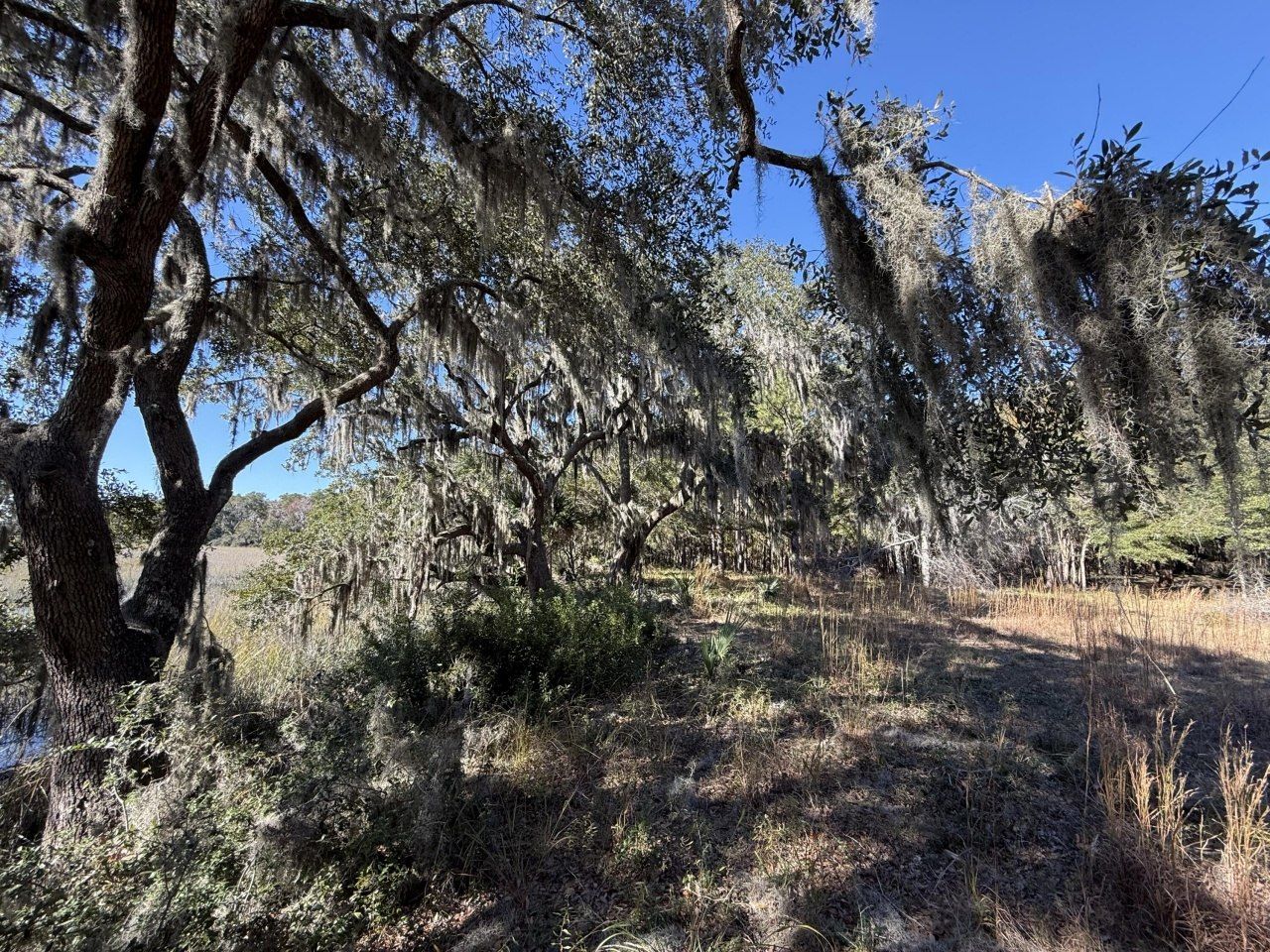 8341 Crooked Creek Lane Photo 7