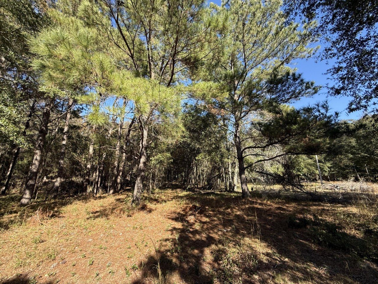 8341 Crooked Creek Lane Photo 8