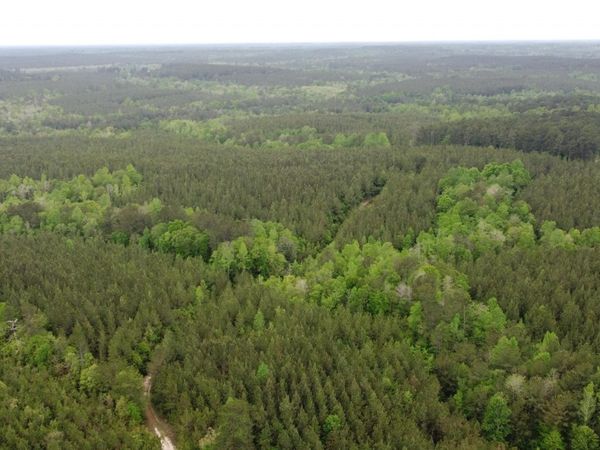 0 Pugh Rd., Shubuta, MS 39360