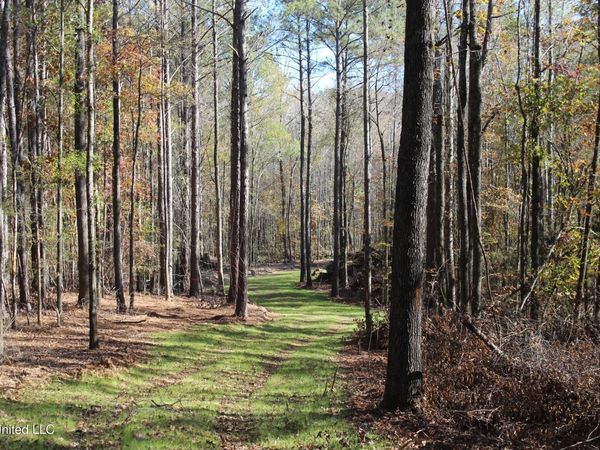 2000 Highway 35, West, MS 39192