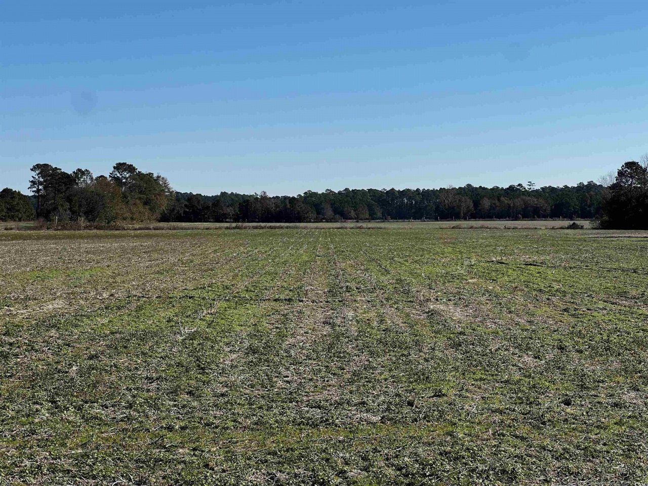 2292 Nichols Hwy. Photo 6