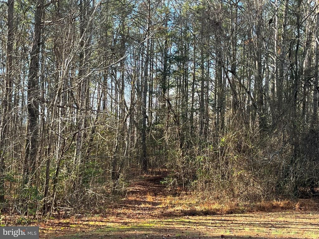 0b Mckenney Drive, Woodford, VA 22580 Main Photo