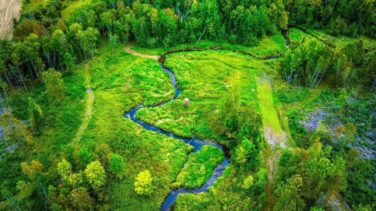 Lot 3 N Blackduck Lake Road Ne, Hines, MN 56647 Main Photo