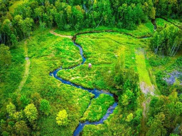 Lot 3 N Blackduck Lake Road NE, Hines, MN 56647