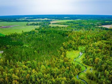 Lot 2 N Blackduck Lake Road NE, Hines, MN 56647