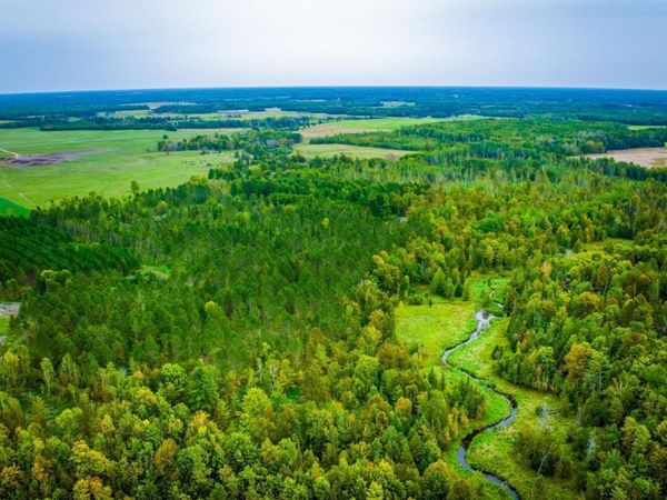 Lot 2 N Blackduck Lake Road NE, Hines, MN 56647