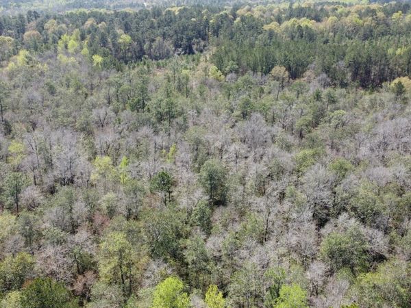 0 Otho Seals Rd., Lumberton, MS 39455