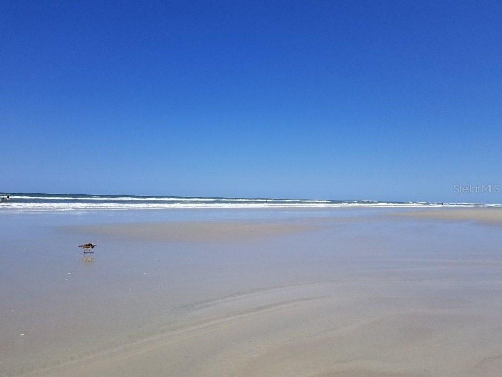 40 Sandra Circle, New Smyrna Beach, FL 32168 Photo