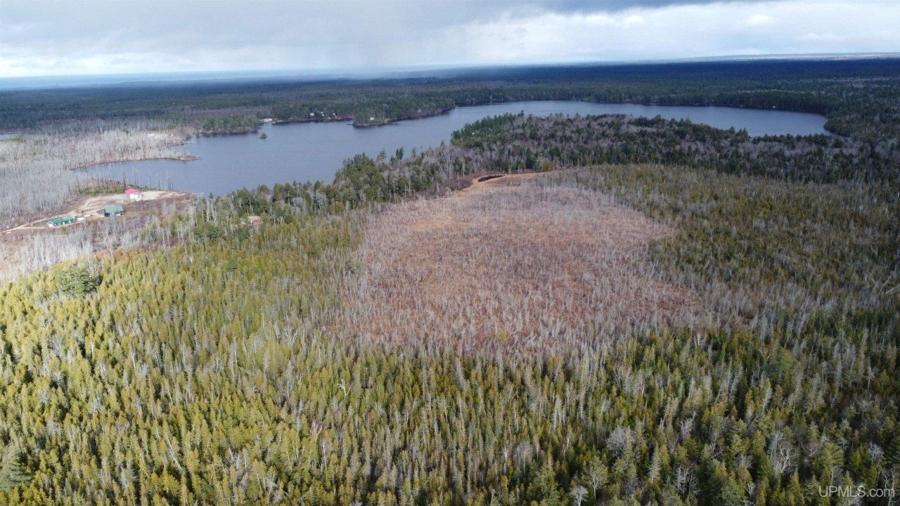 Tbd Off Of County Road 414, Mcmillan Twp, MI 49853 Main Photo