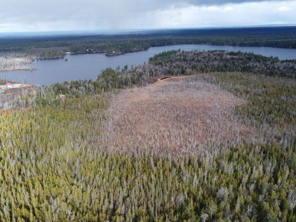 TBD Off Of County Road 414, McMillan Twp, MI 49853