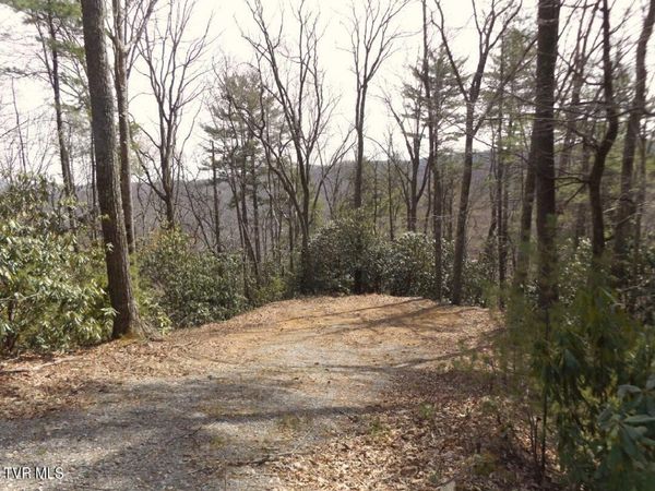 704 Heartwood Lot 55 Lane, Butler, TN 37640