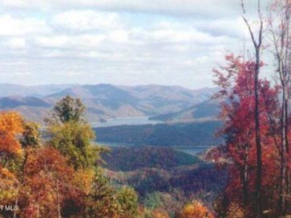 1012 Locust Lot 40 Lane, Butler, TN 37640