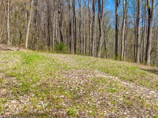 308 Honeymoon Lot 67 Hollow, Unit 67, Butler, TN 37640