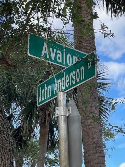 151 Avalon Drive, Ormond Beach, FL 32176 Photo