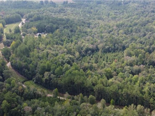 93 Acres LAVERNE CRAIN Road, Angie, LA 70426