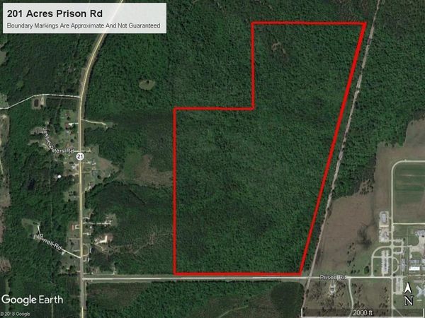 202 Acres PRISON Road, Angie, LA 70426