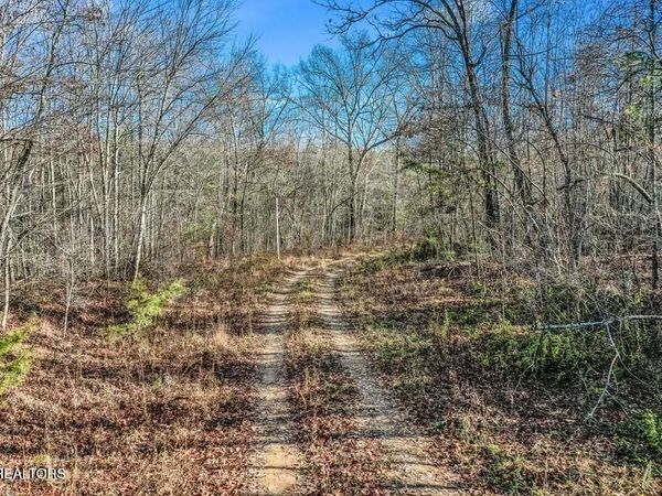 Nashville Ave, Deer Lodge, TN 37726