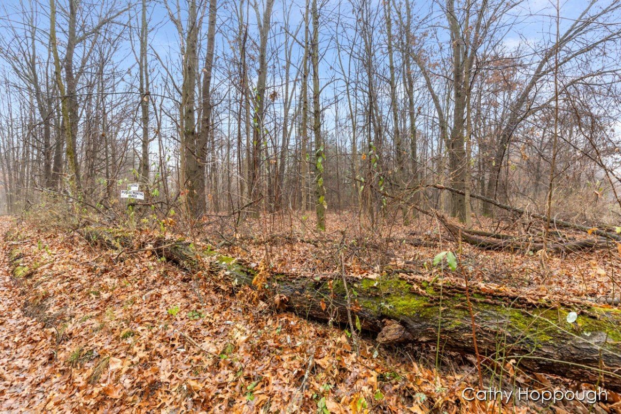 V/l W Snows Lake Road, Lot #Parcel 1, Fenwick, MI 48834 Main Photo