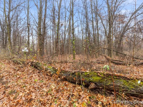 V/L W Snows Lake Road, Unit Parcel 1, Fenwick, MI 48834