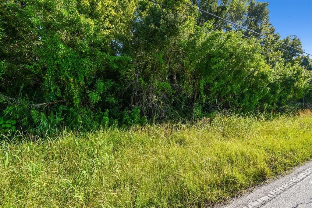 11632 Bill Tucker Road, Wimauma, FL 33598 Photo