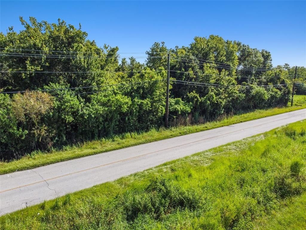 11632 Bill Tucker Road, Wimauma, FL 33598 Photo