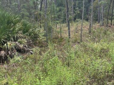 Lot 7 SW 159TH AVENUE, OCALA, FL 34481