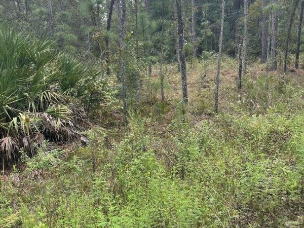 Lot 7 SW 159TH AVENUE, OCALA, FL 34481
