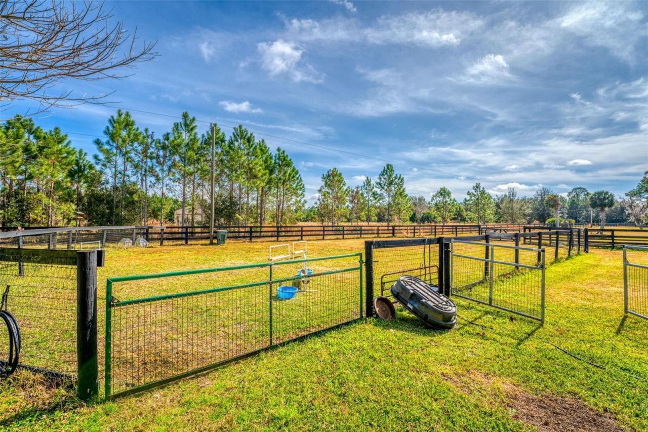 1327 W State Road 40, Pierson, FL 32180 Photo