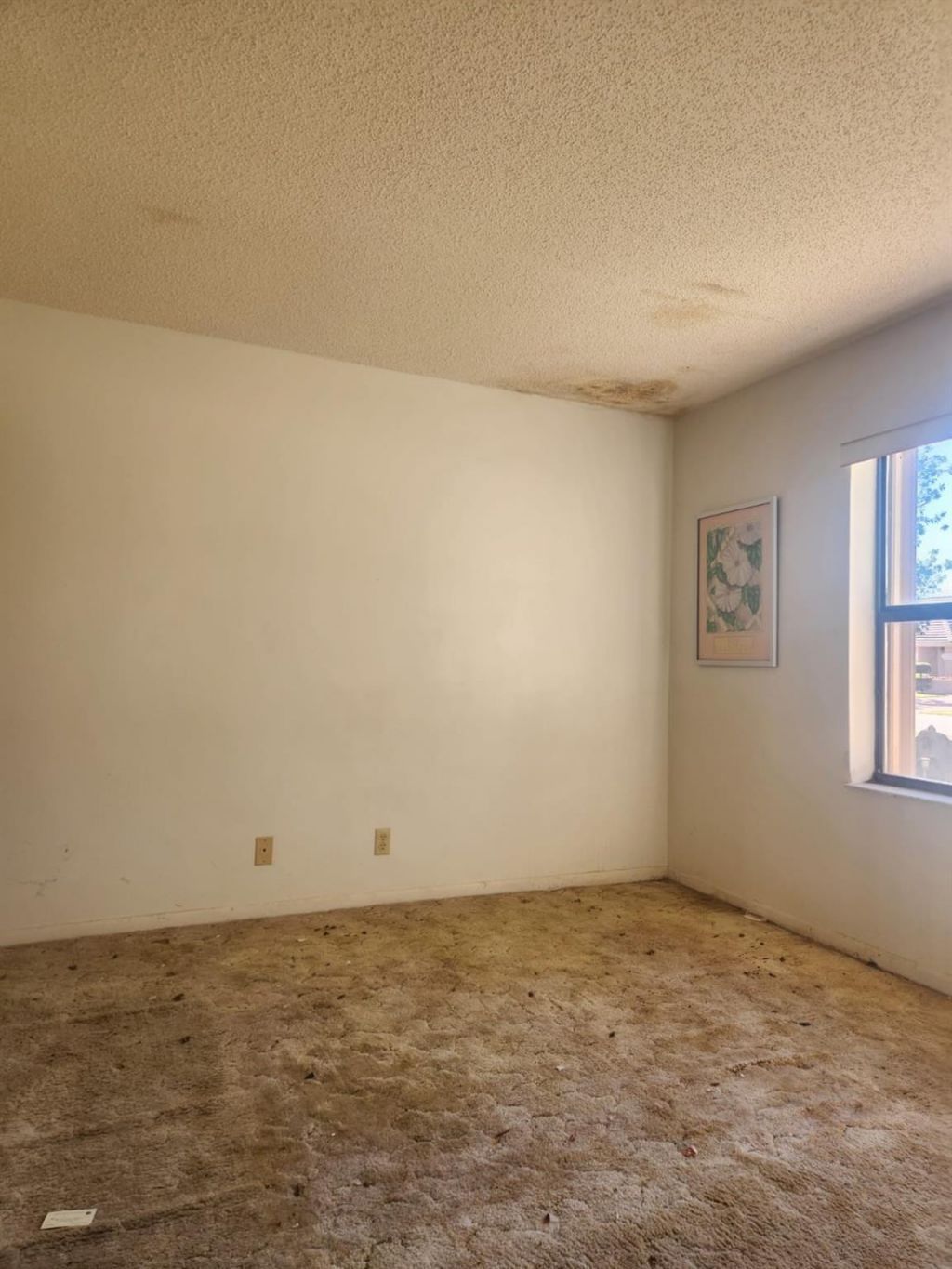 9332 Laurel Green Drive, Boynton Beach, FL 33437 Photo