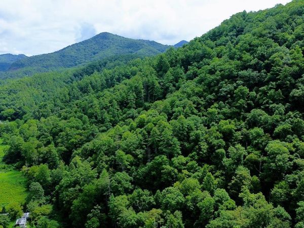 Carrs Creek  14 acres Rd, Townsend, TN 37882
