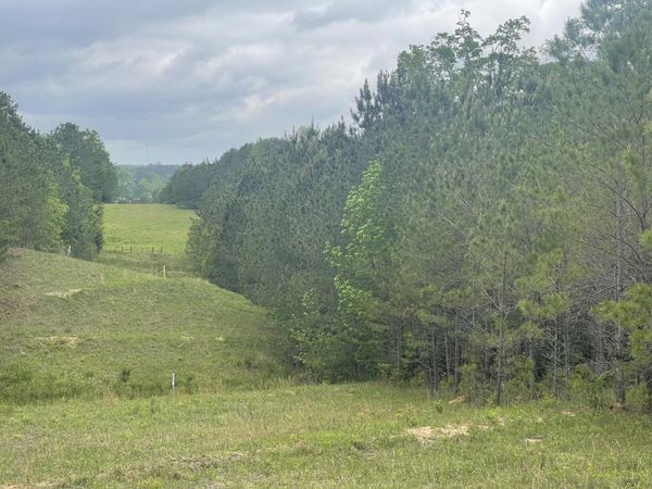 0 Co Rd 1725, Bay Springs, MS 39422