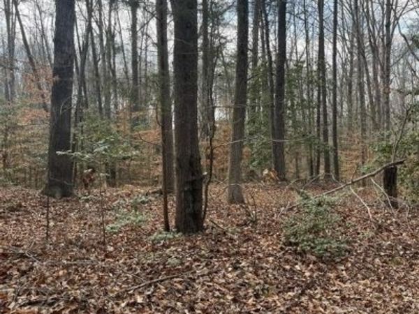 6317 LITTLE ACRES LANE, WOODFORD, VA 22580