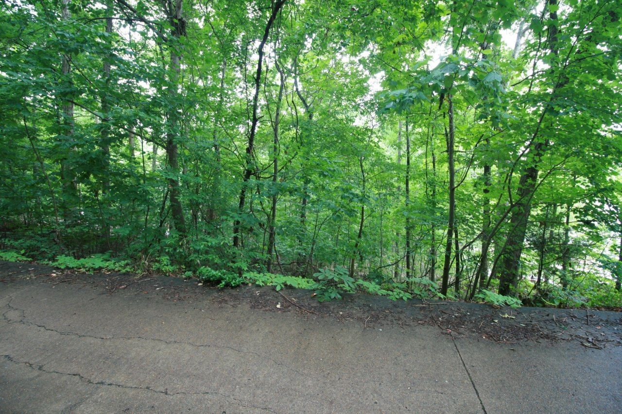 6625 Cape Haven Drive, Harrison, TN 37341 Main Photo