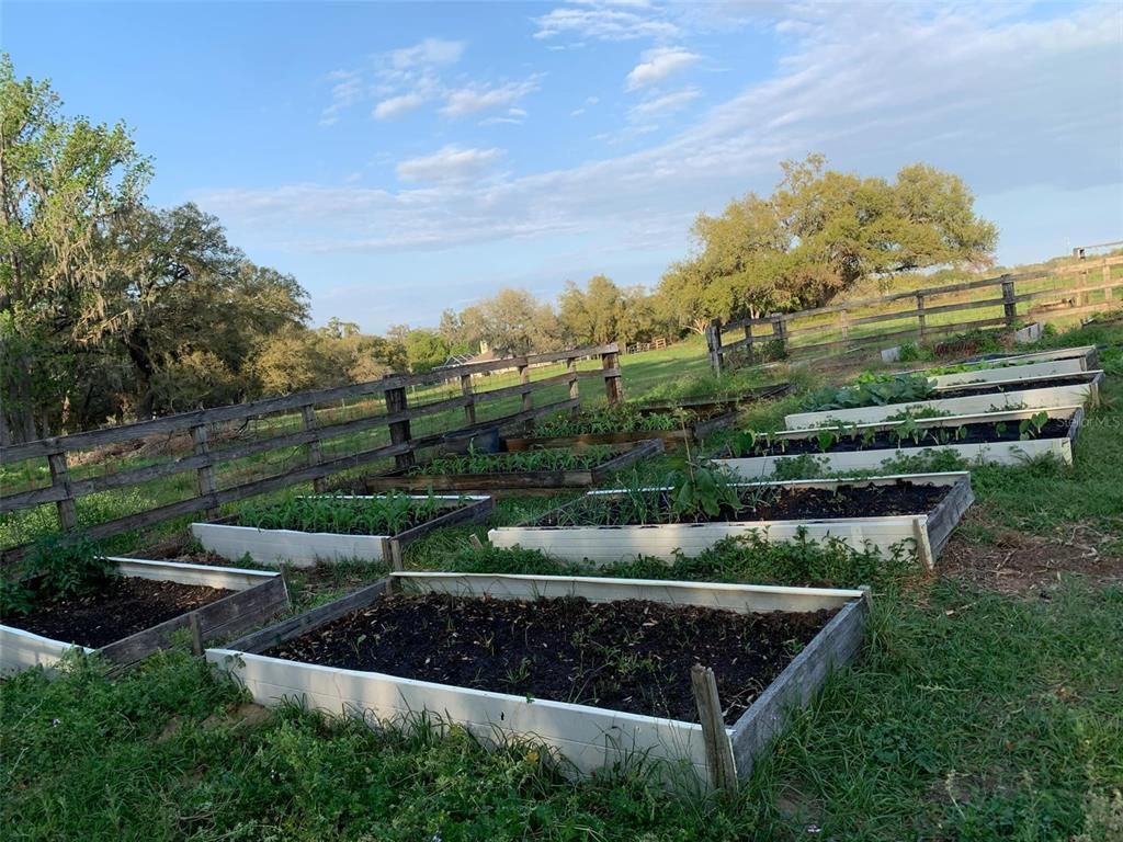 9229 Fort King Rd Road, Dade City, FL 33525 Photo