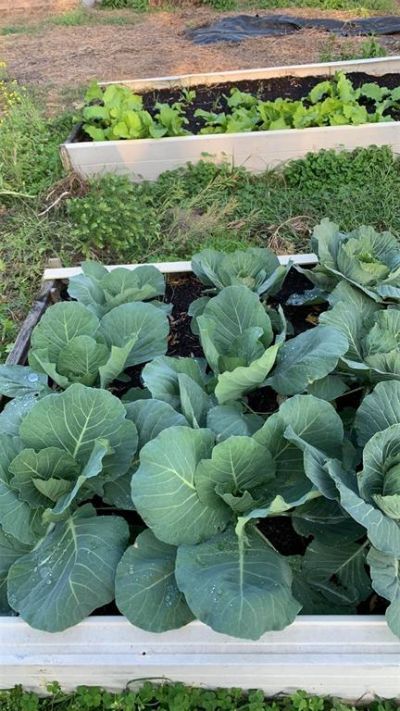 9229 Fort King Rd Road, Dade City, FL 33525 Photo