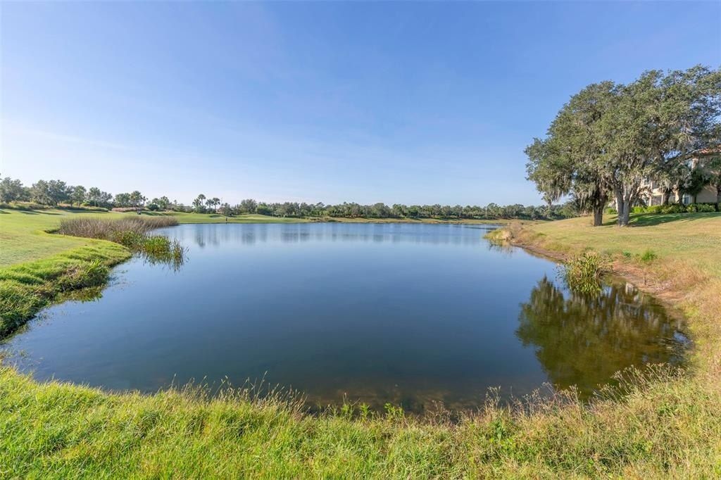 13816 Messina Loop, Unit 203, Bradenton, FL 34211 Photo