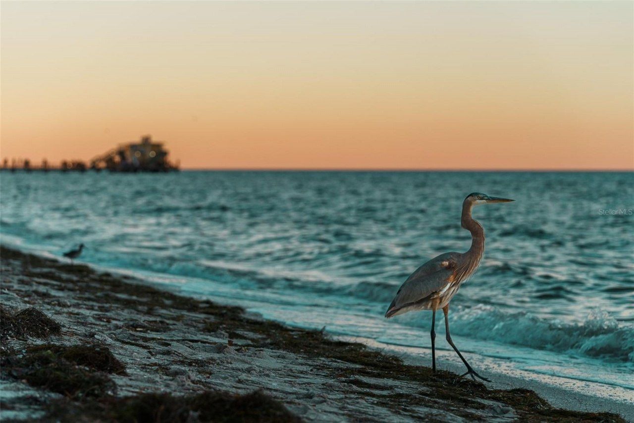 329 Tarpon Street, Anna Maria, FL 34216 Photo