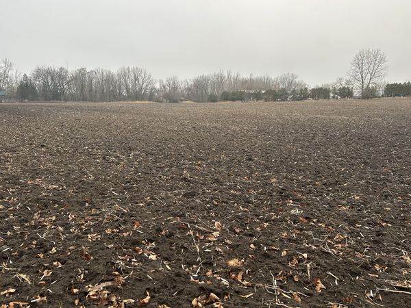 Lot 499001 Galligan Road, Gilberts, IL 60136