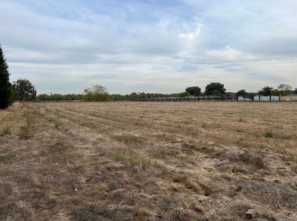 10016 S Priest Rd, French Camp, CA 95231 Photo