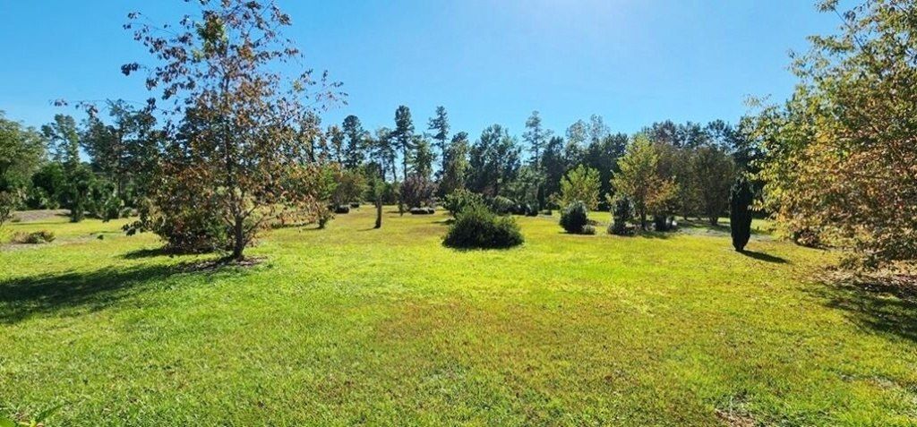 3112 Santee River Road Photo 55