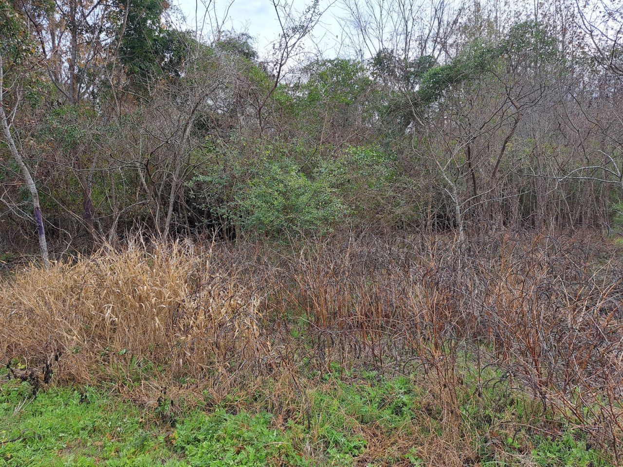 01 Muldoon Drive Photo 1