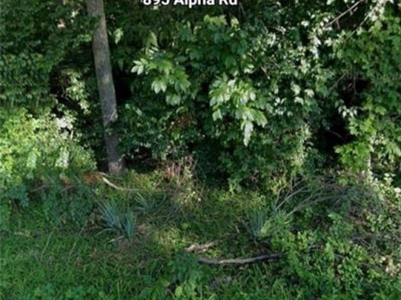 895 Alpha Road, Beavercreek, OH 45434 Photo 3