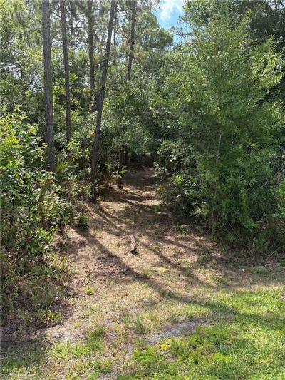 2524 64th Ave Ne, Naples, FL 34120 Photo