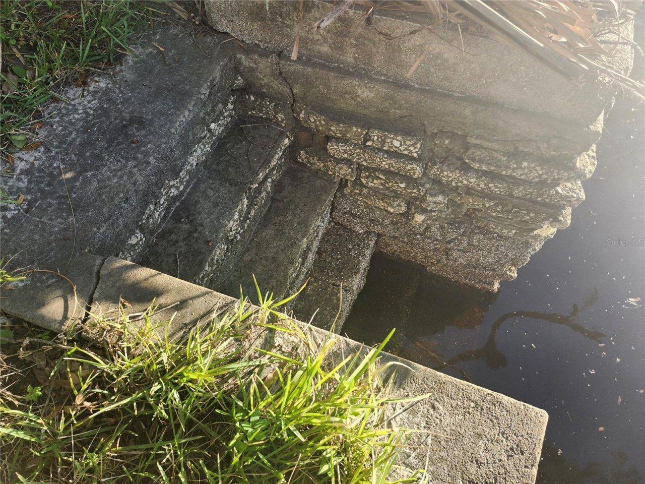 7222 N Ola Avenue, Tampa, FL 33604 Photo