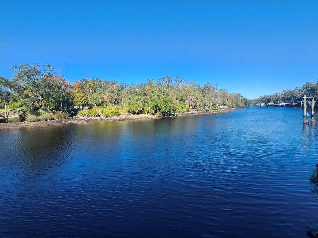 7222 N Ola Avenue, Tampa, FL 33604 Photo